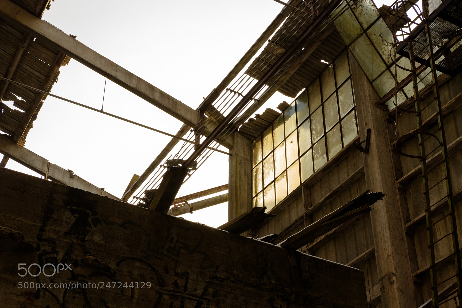 Fujifilm X-Pro2 sample photo. Dscf1077-2.jpg photography