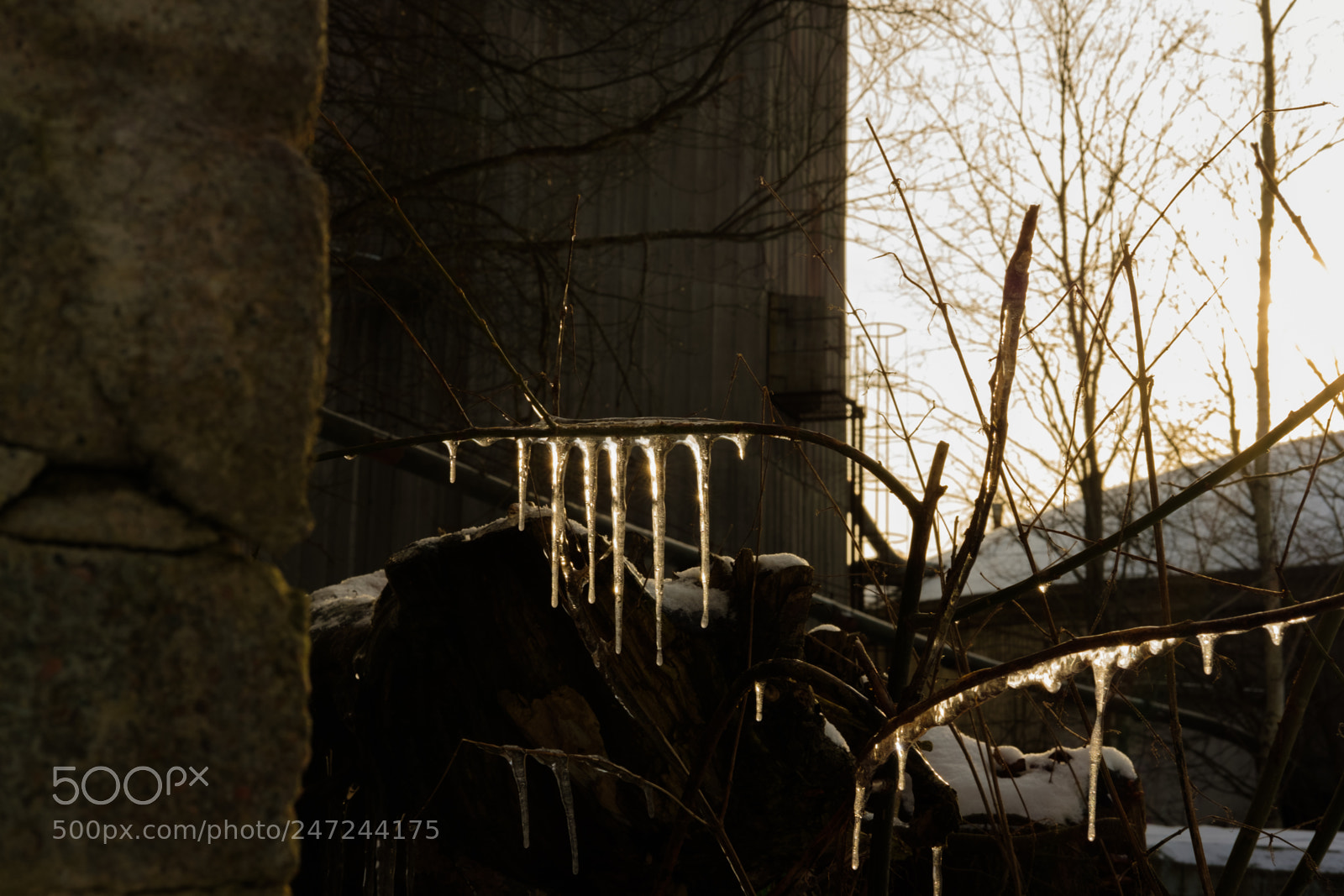 Fujifilm X-Pro2 sample photo. Dscf1091-2.jpg photography