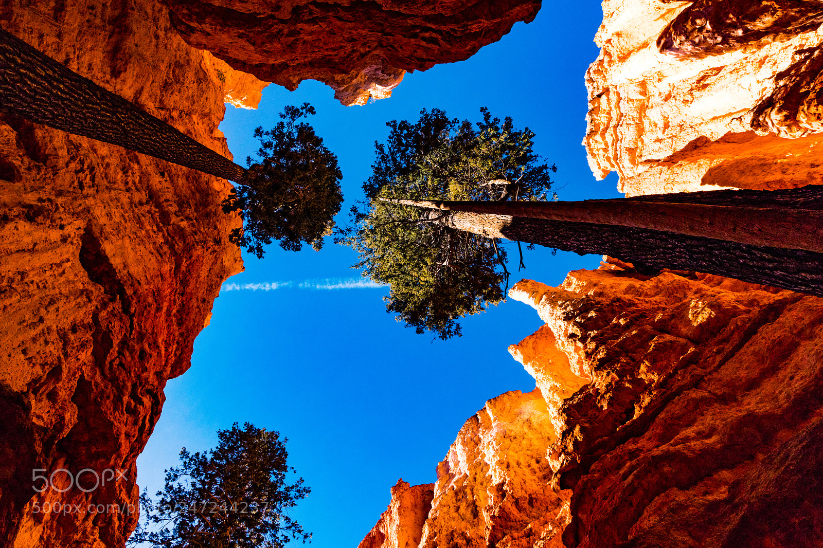Canon EOS 6D Mark II sample photo. Up the canyon! photography