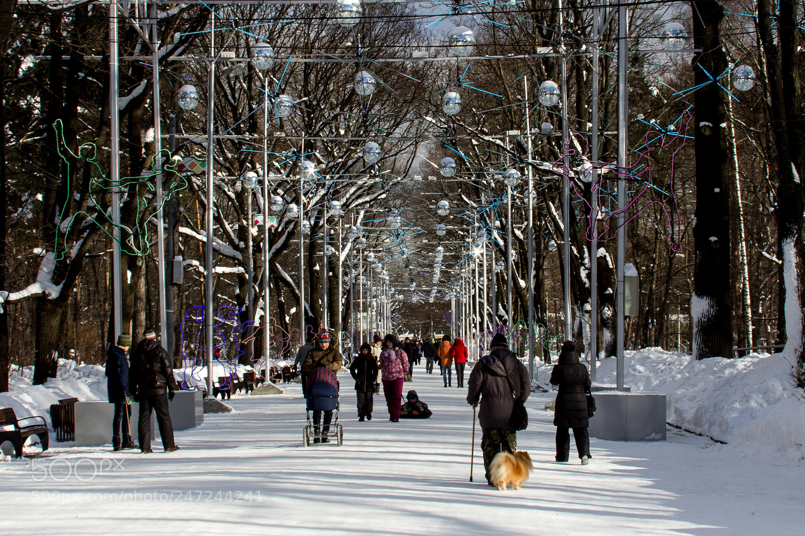 Canon EOS 60D sample photo. Winter alley photography