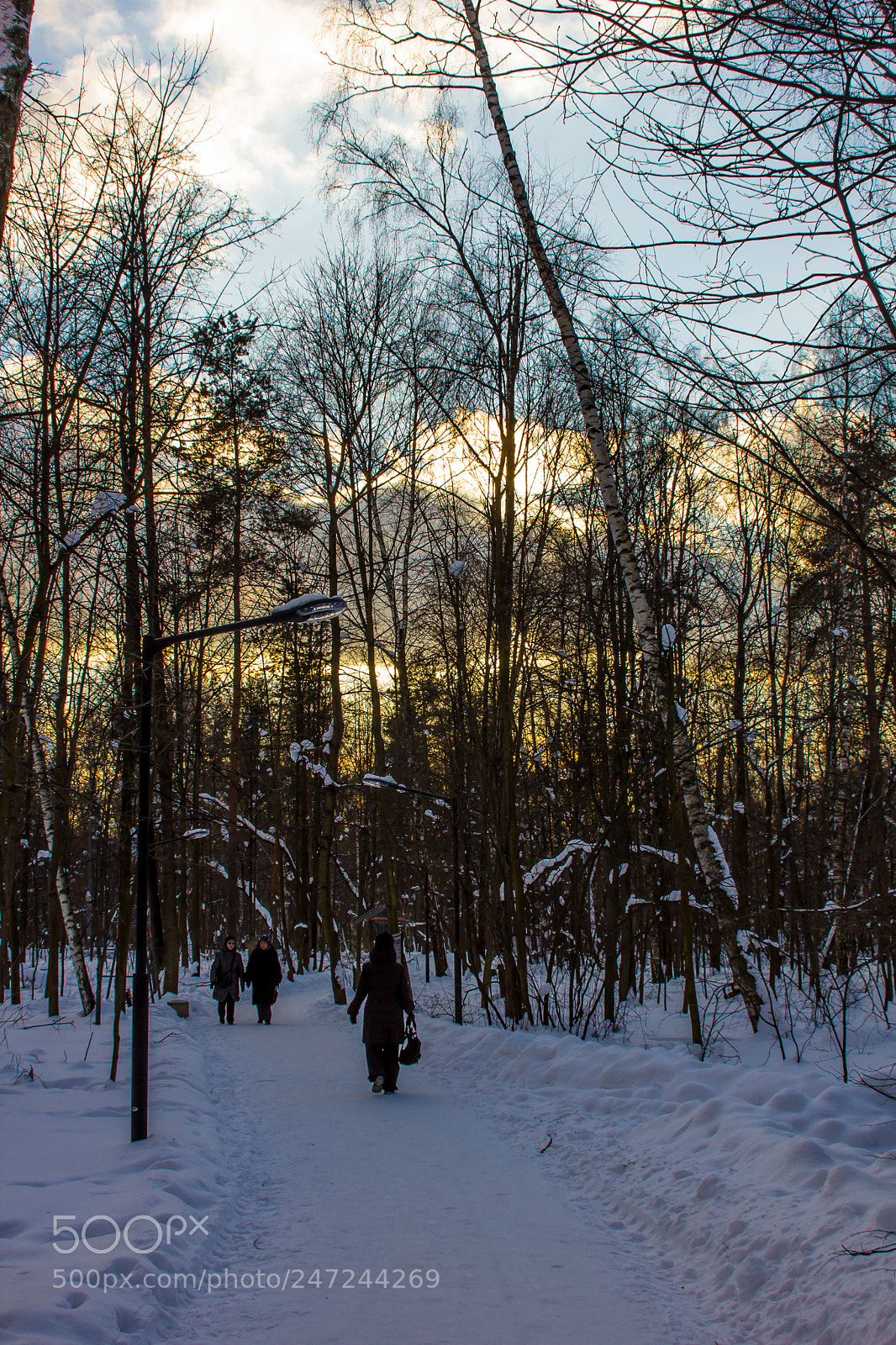 Canon EOS 60D sample photo. Frosty evening walk photography