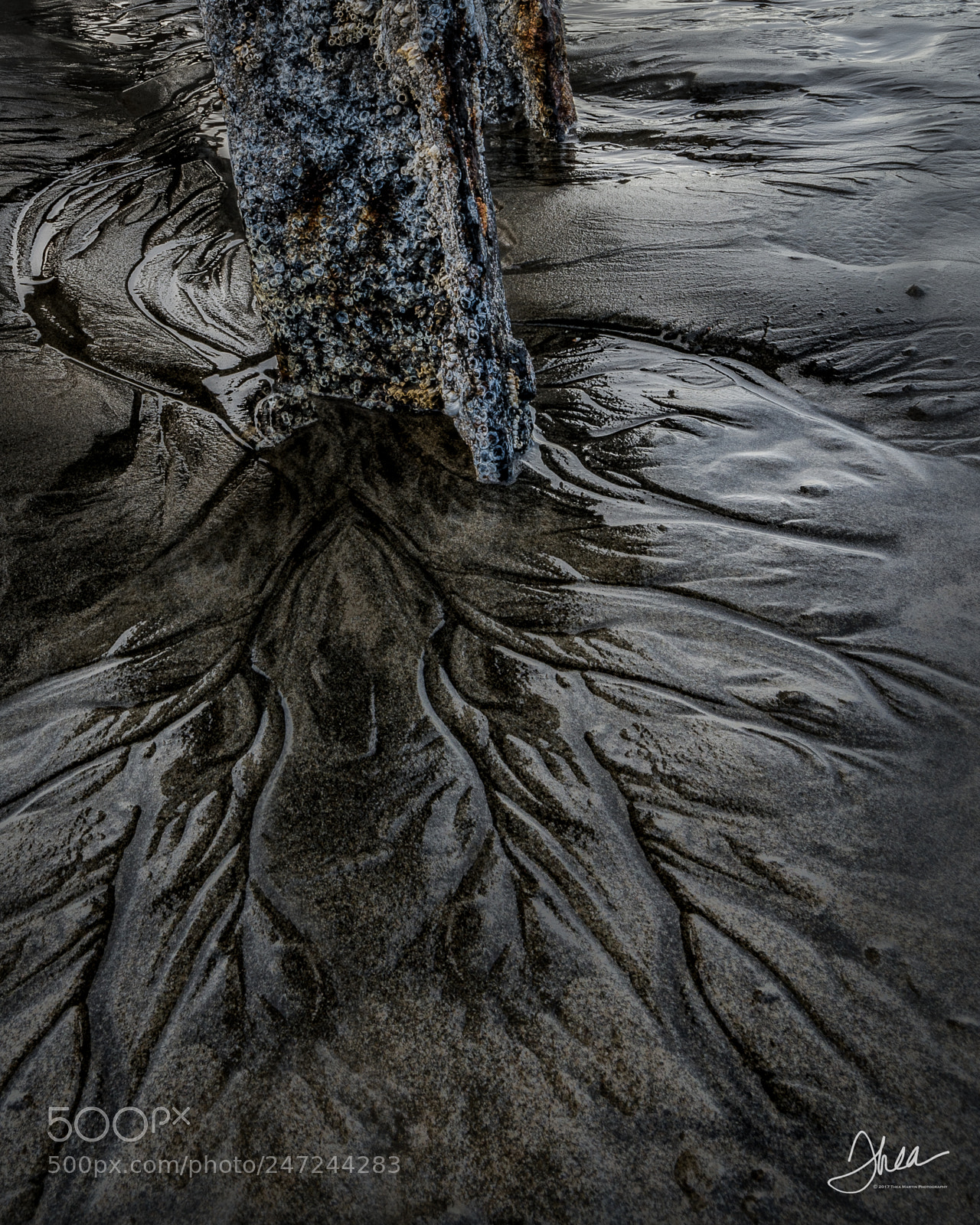 Nikon D810 sample photo. Winter sand patterns photography