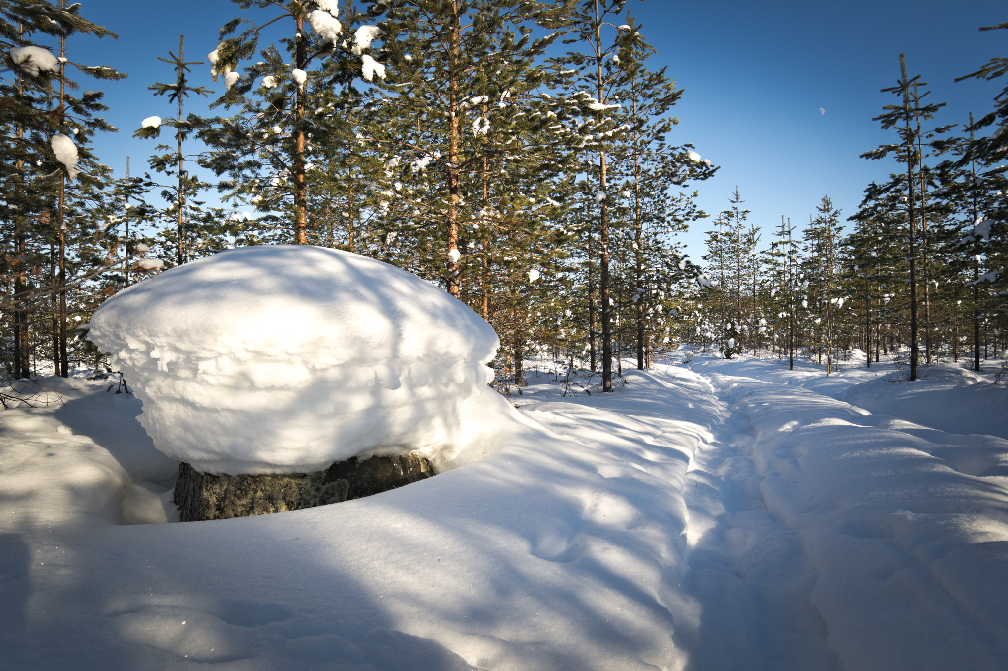Samyang 14mm F2.8 ED AS IF UMC sample photo. Hat photography