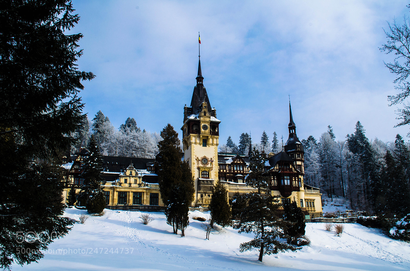 Nikon D5100 sample photo. Peleş castle photography