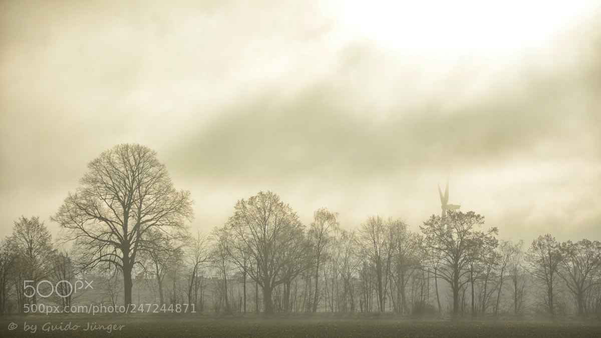 Nikon D7100 sample photo. Der nebel l st photography