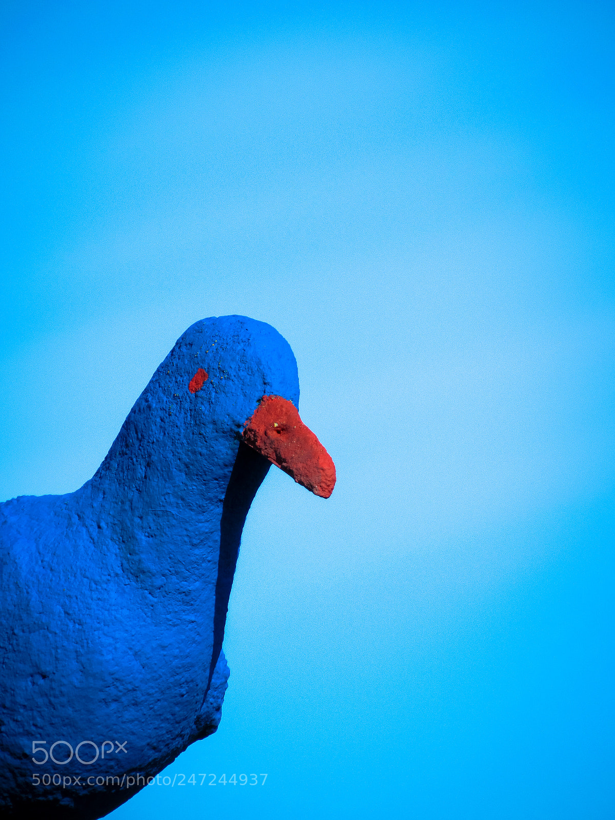 Canon PowerShot SX520 HS sample photo. Blue seagull photography