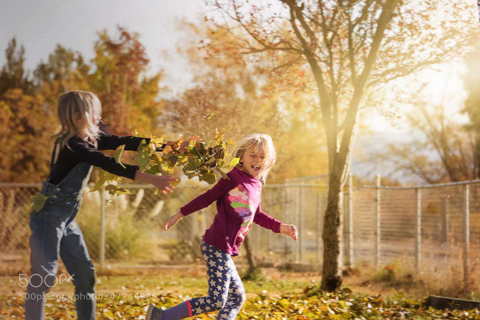Nikon D810 sample photo. Fall fun photography
