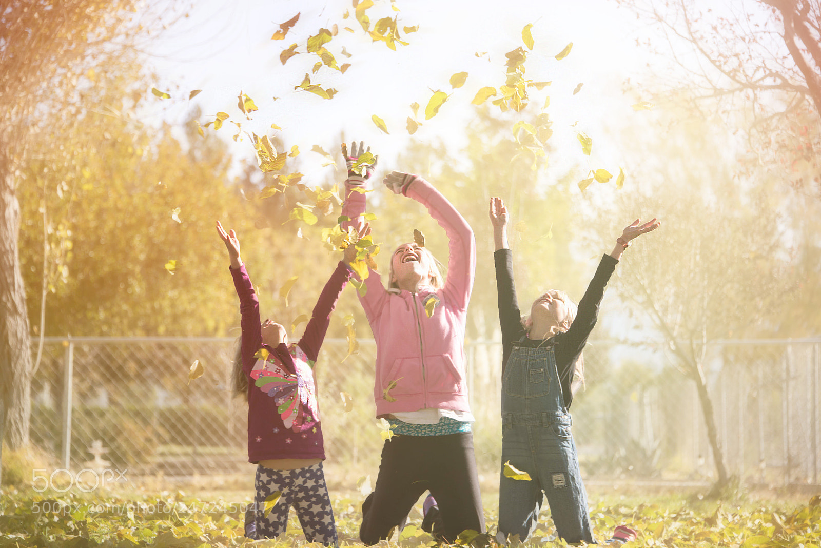 Nikon D810 sample photo. Fall into autumn photography