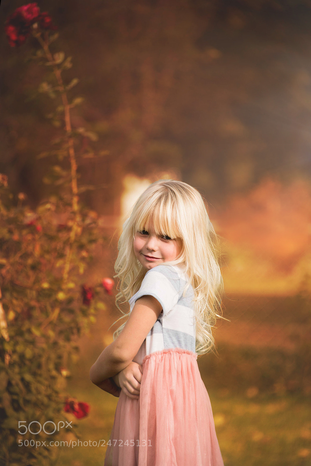 Nikon D810 sample photo. Goldilocks photography