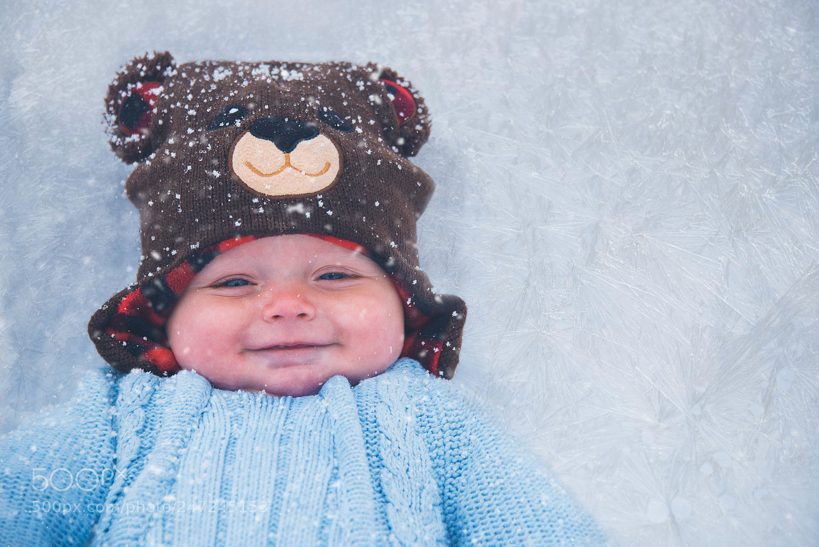 Nikon D810 sample photo. Icy love photography