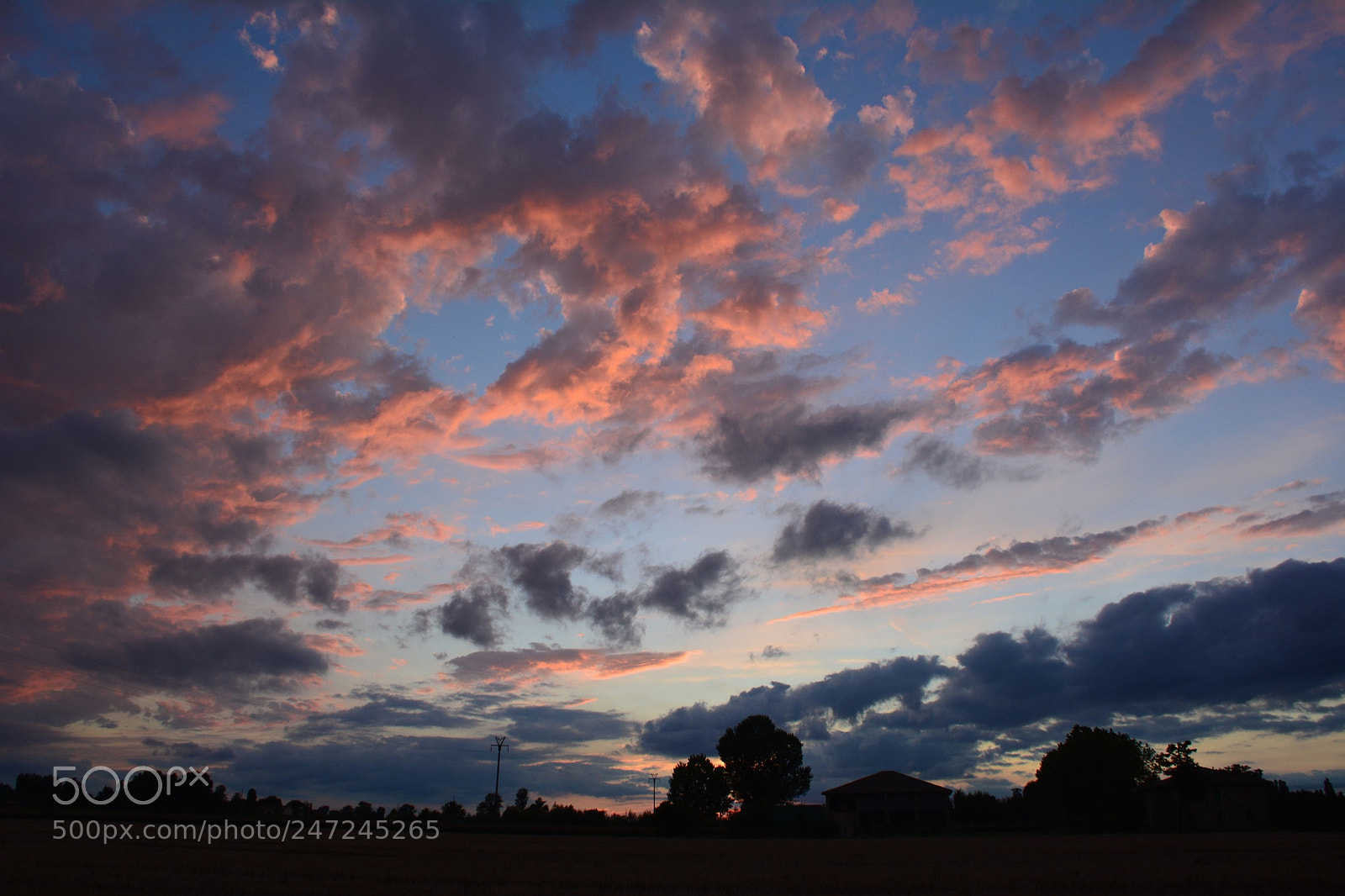Nikon D5200 sample photo. In love with this... photography