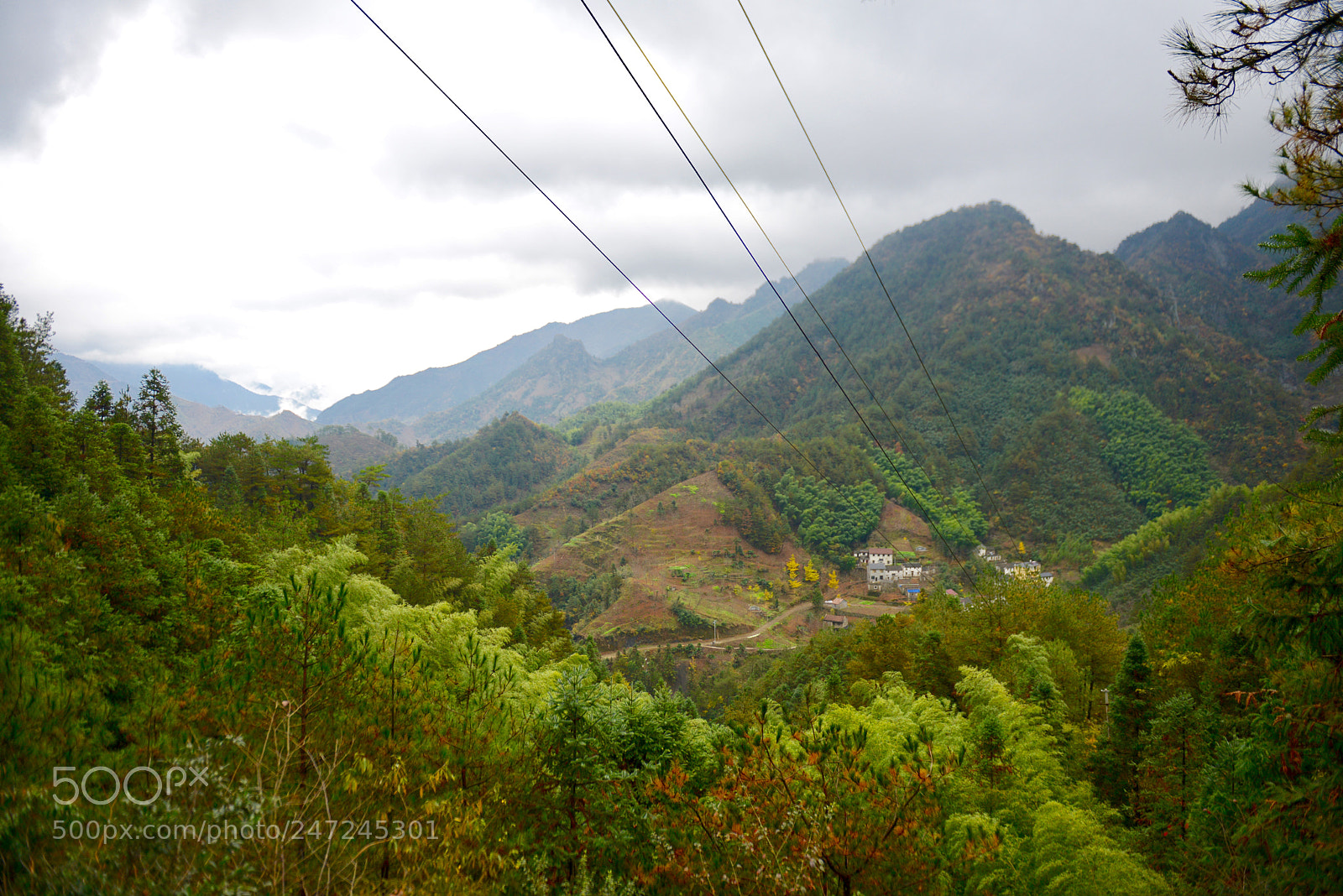 Nikon D800 sample photo. Untitled photography