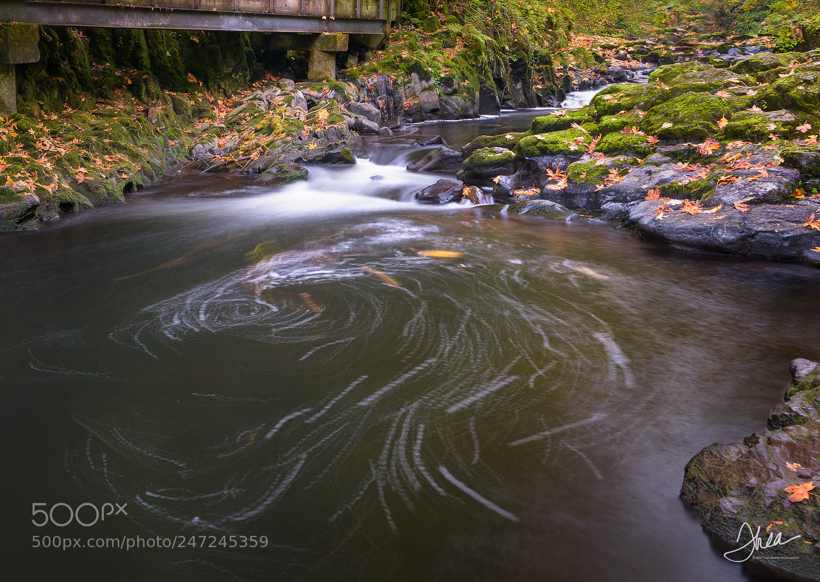 Nikon D810 sample photo. Grist mill swirls photography