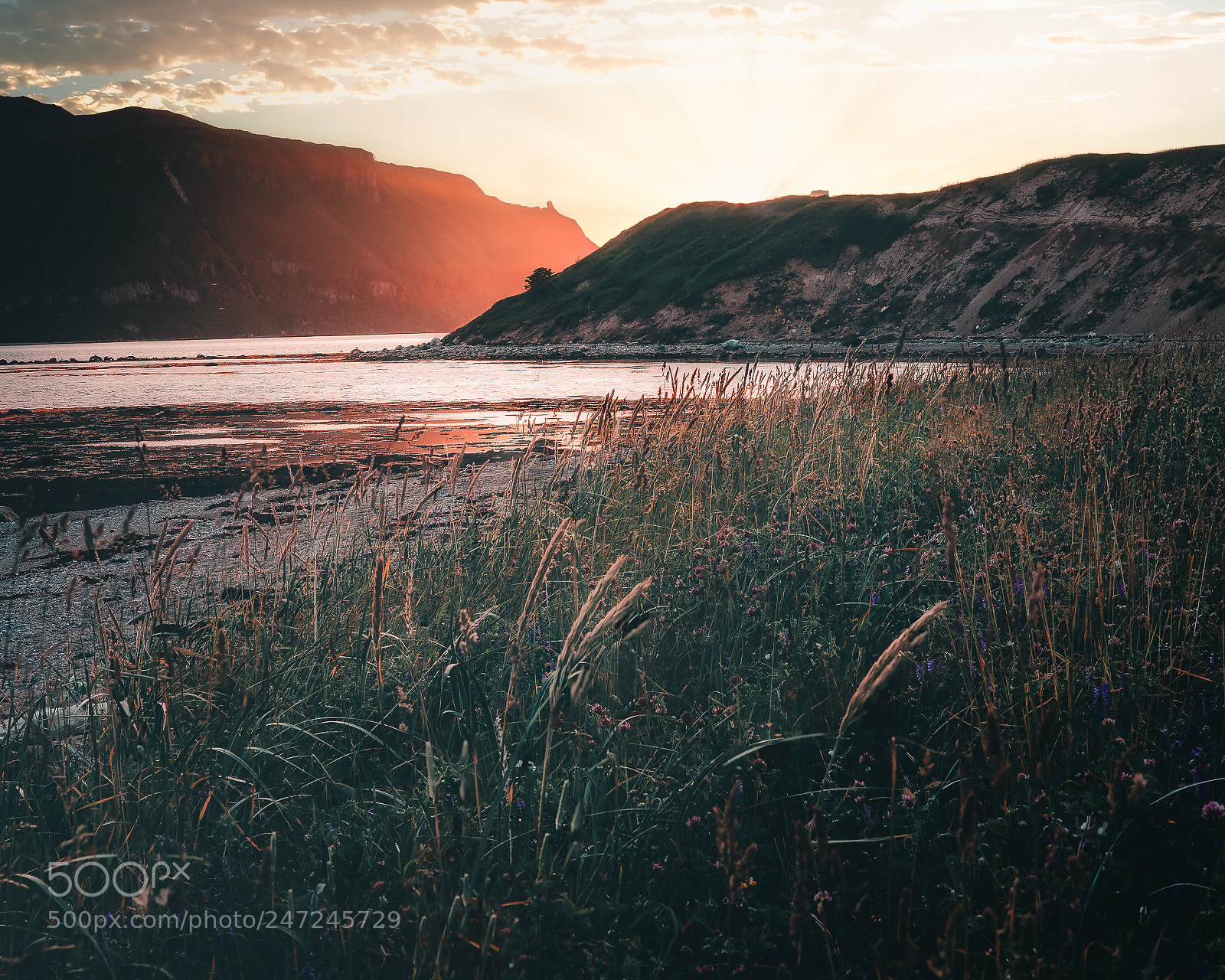 Nikon D810 sample photo. Sunset glow norris point photography