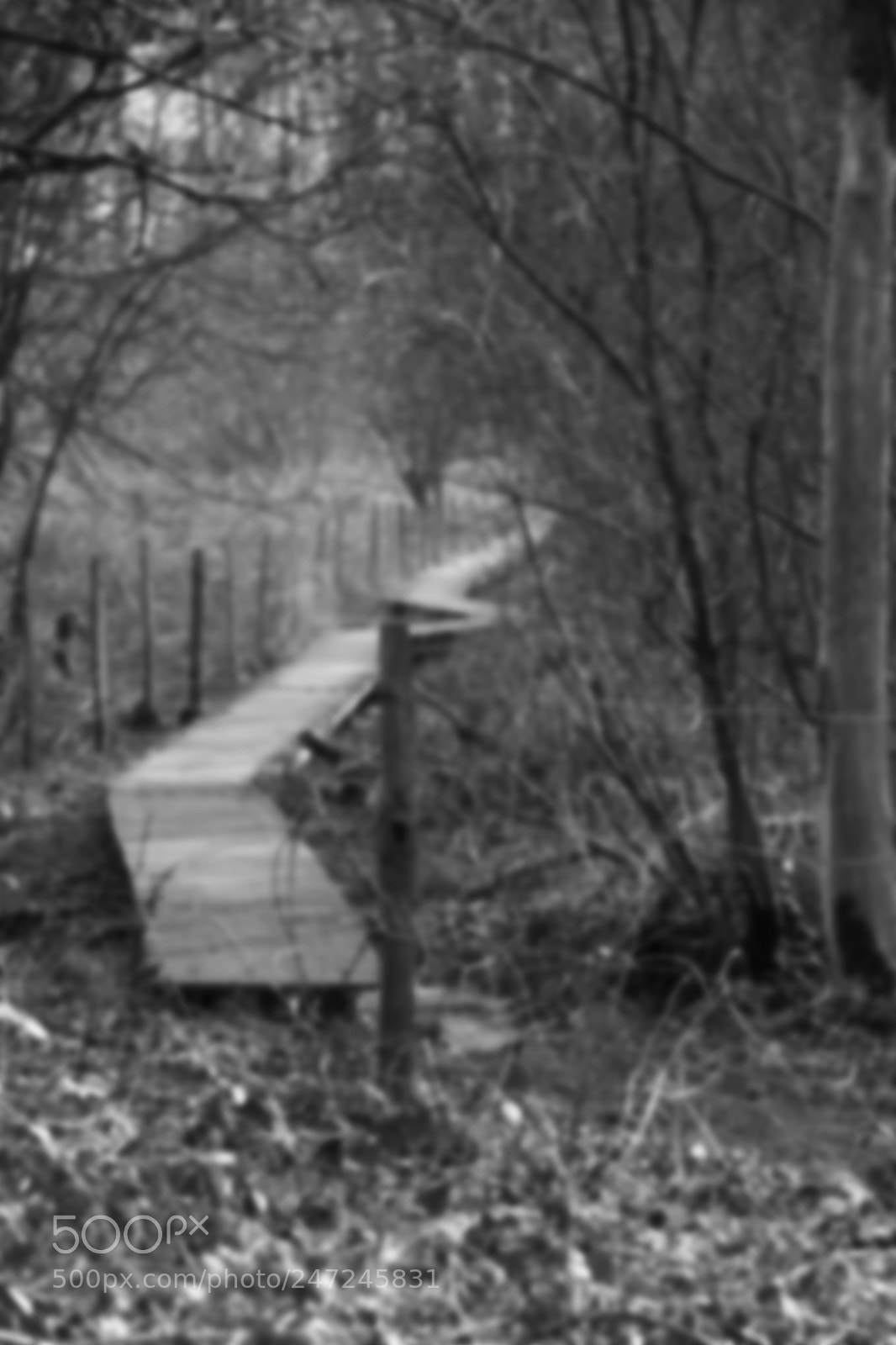 Nikon D7100 sample photo. Nature in hibernation photography