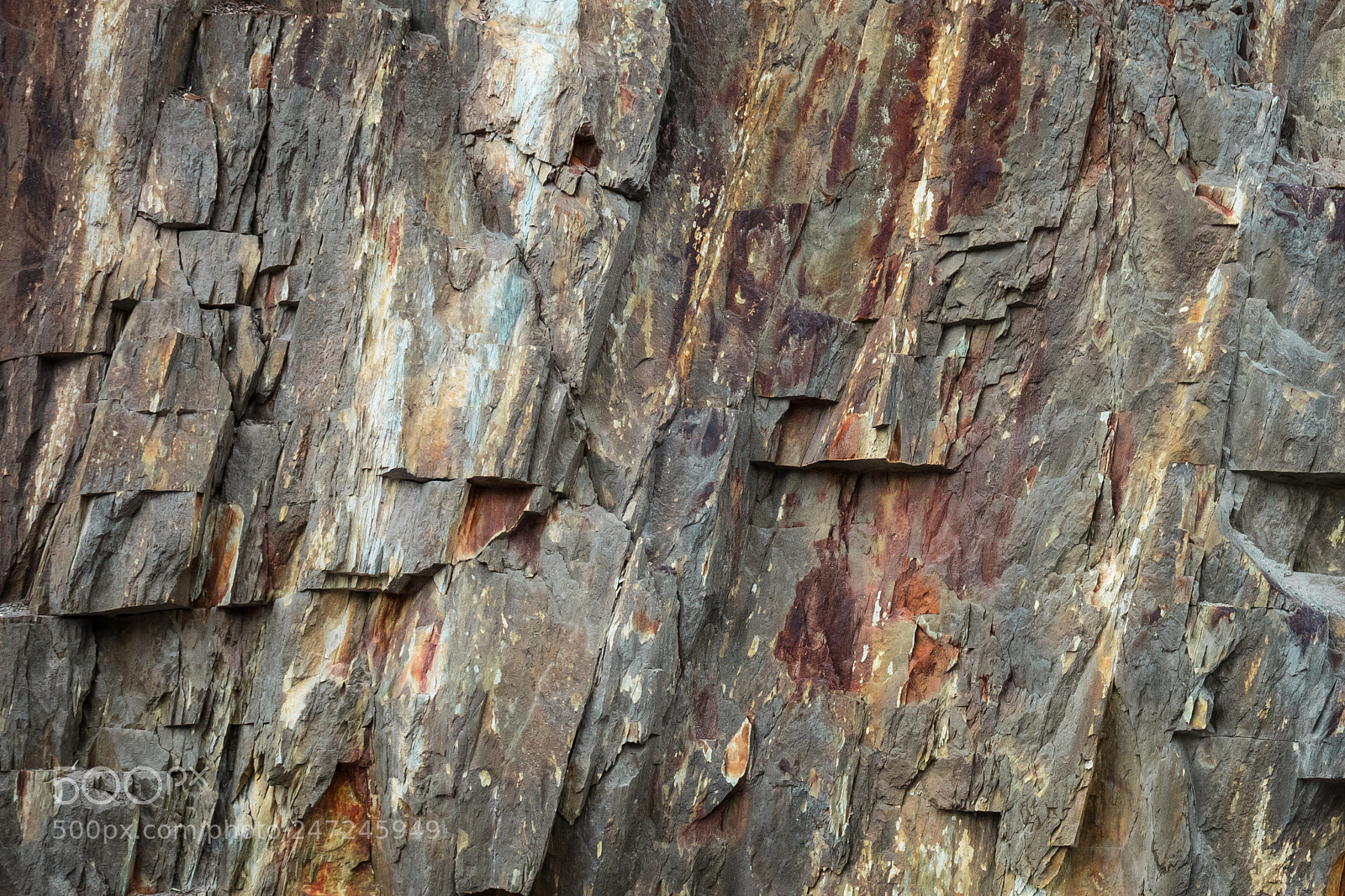 Canon EOS 5DS sample photo. Bones of this earth photography