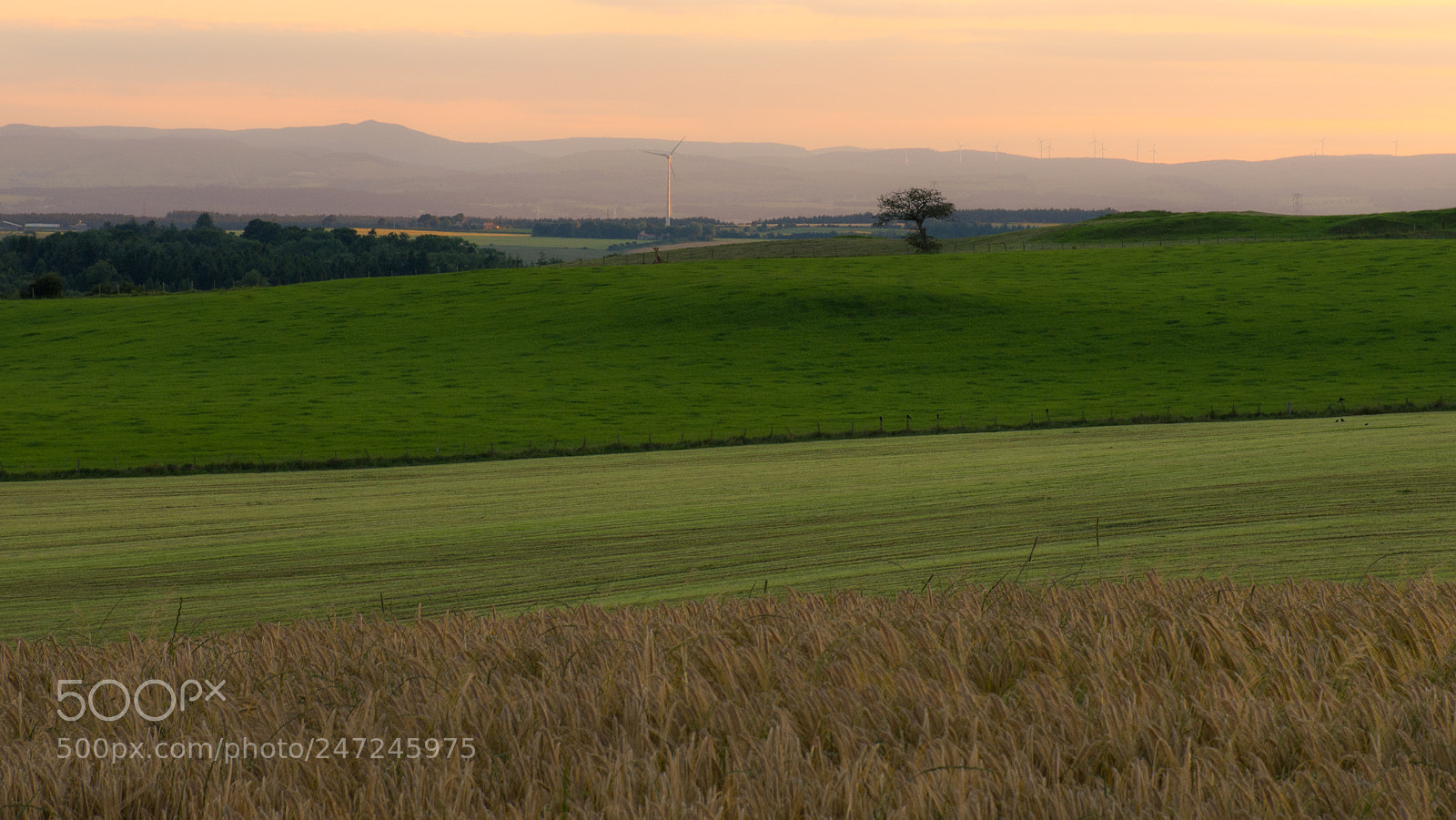 Nikon D7200 sample photo. Saline photography