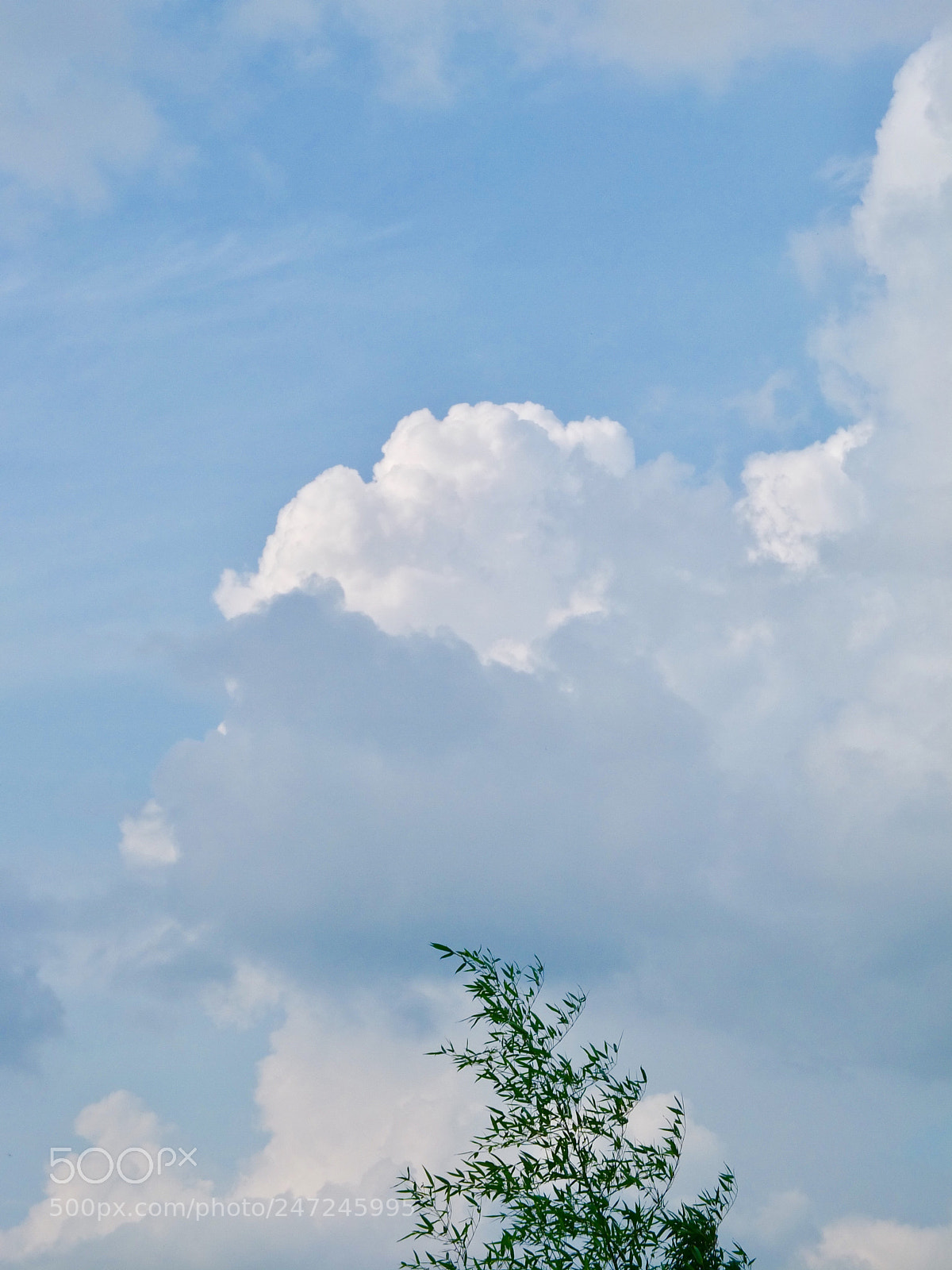 Fujifilm X10 sample photo. Peace photography