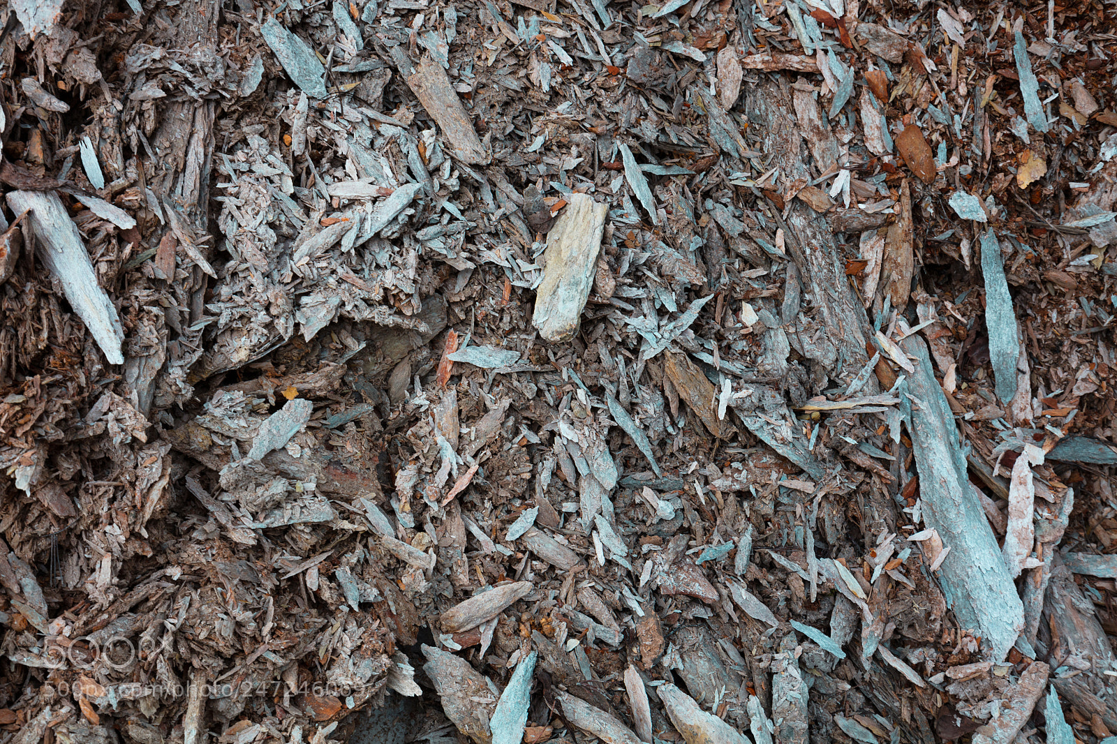 Canon EOS 5DS sample photo. Bones of this earth photography
