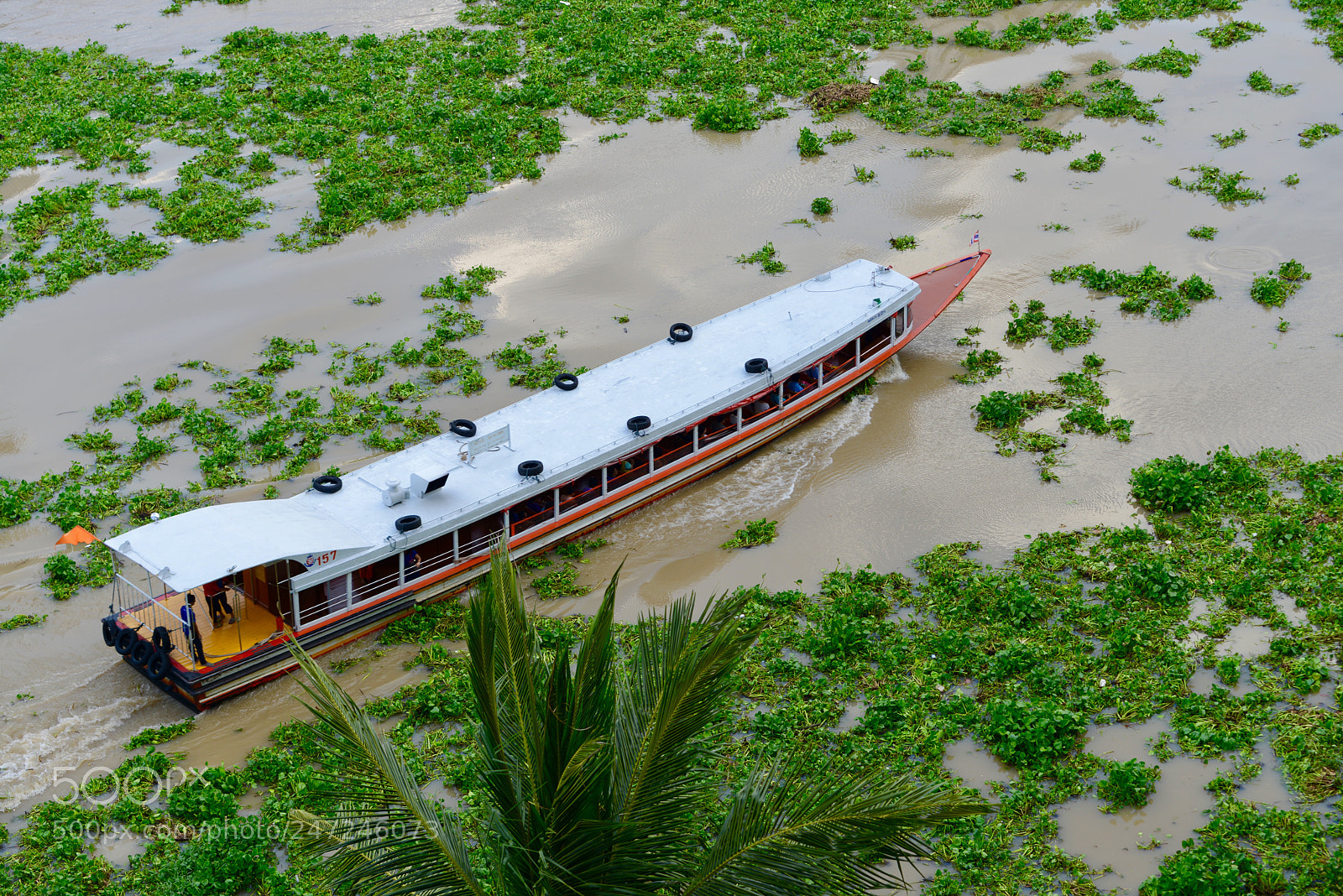 Nikon D800 sample photo. Boat photography
