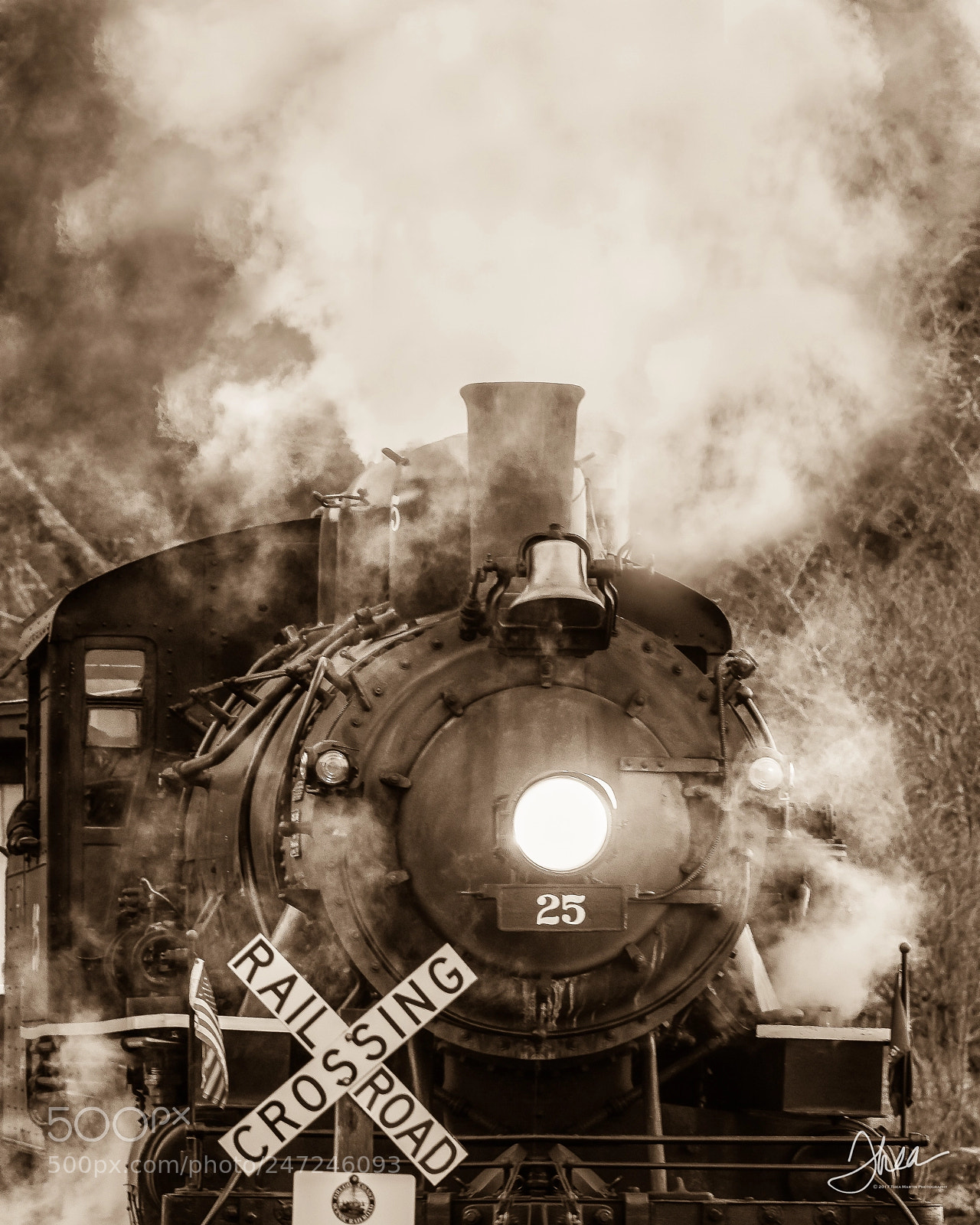 Nikon D810 sample photo. Candy cane express photography