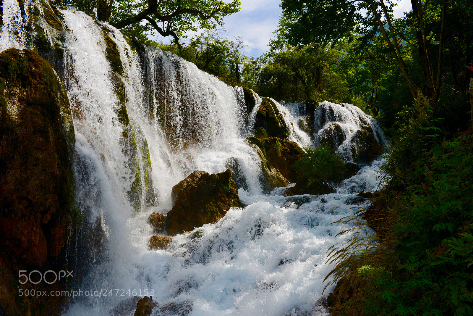 Nikon D800 sample photo. Untitled photography