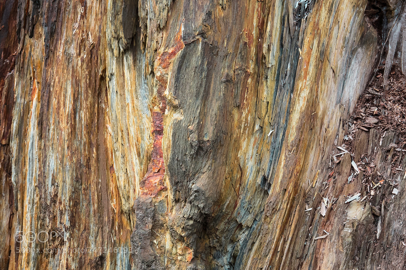 Canon EOS 5DS sample photo. Bones of this earth photography
