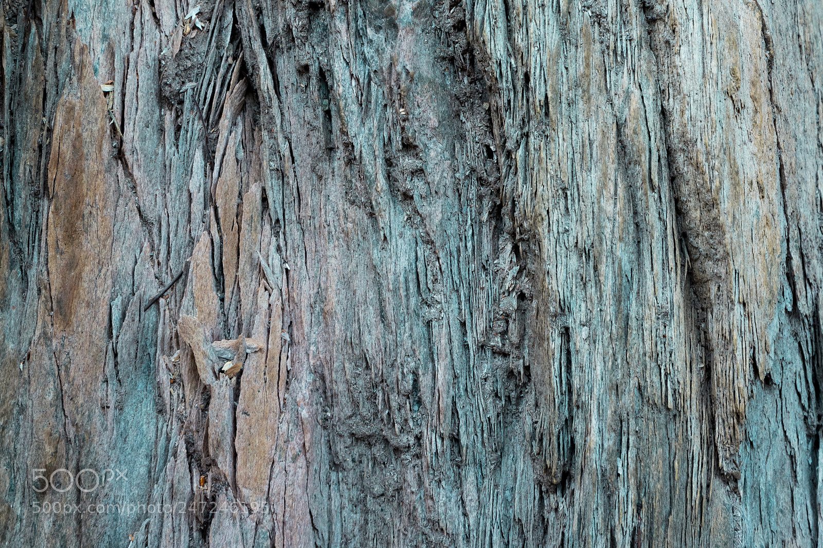 Canon EOS 5DS sample photo. Bones of this earth photography