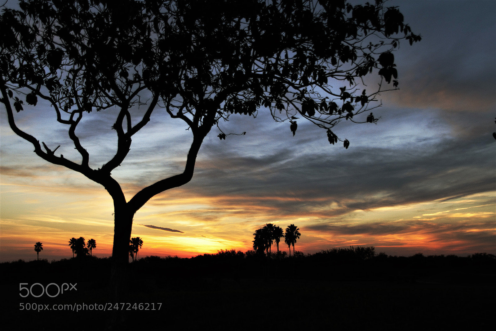 Canon EOS 7D sample photo. My texas sunset photography