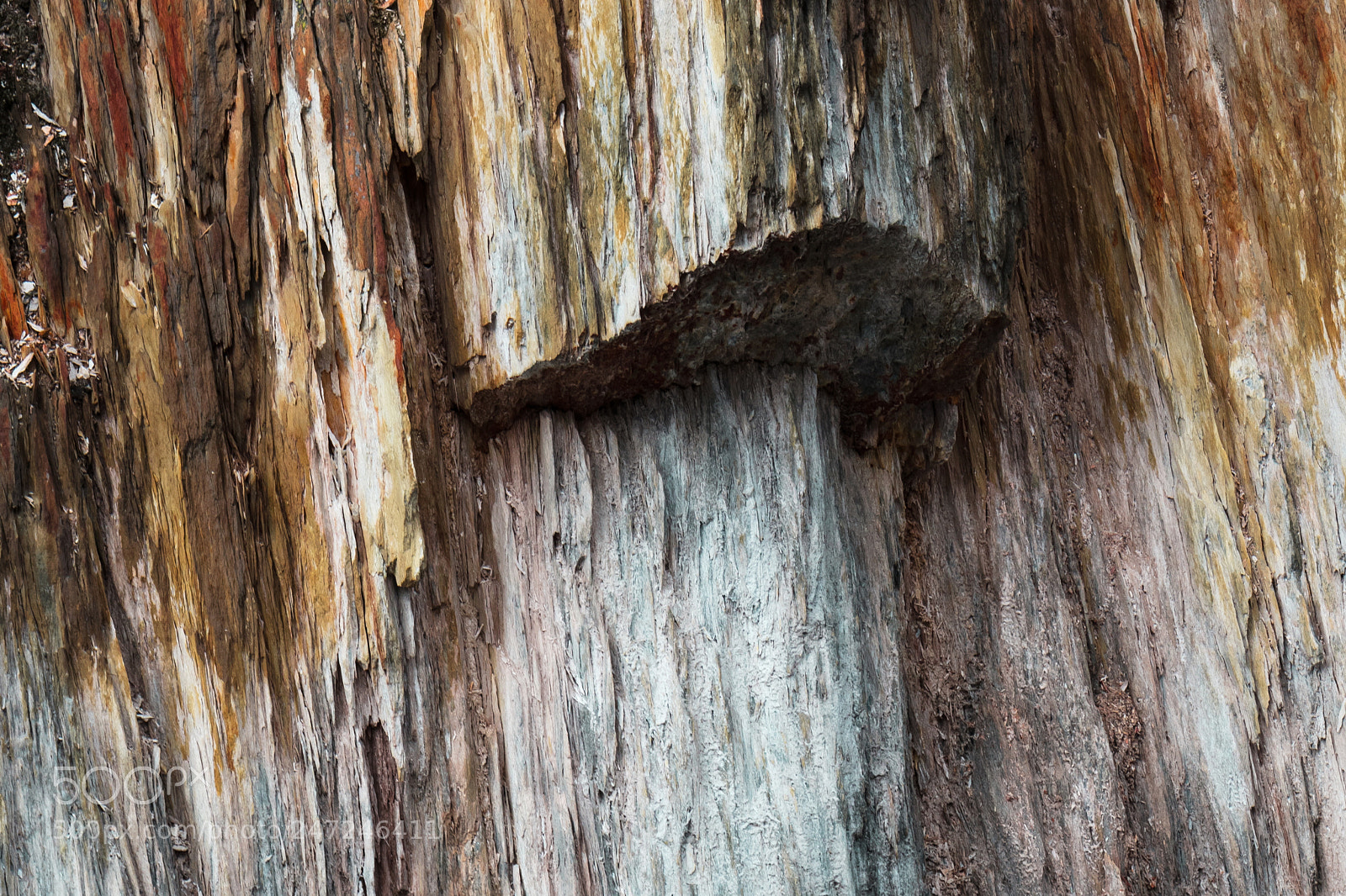 Canon EOS 5DS sample photo. Bones of this earth photography