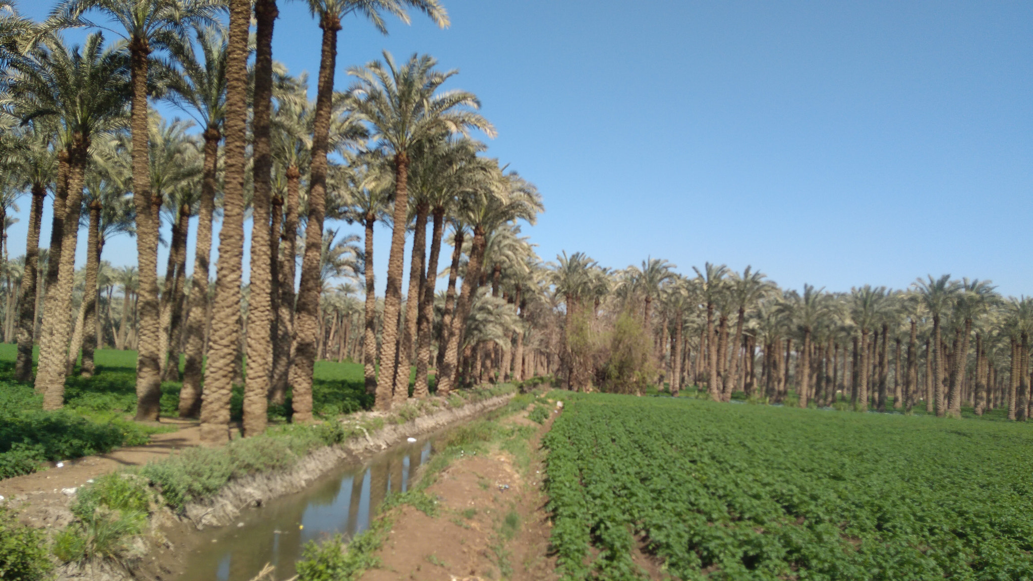 Lenovo K6 NOTE sample photo. The country side , giza , egypt photography