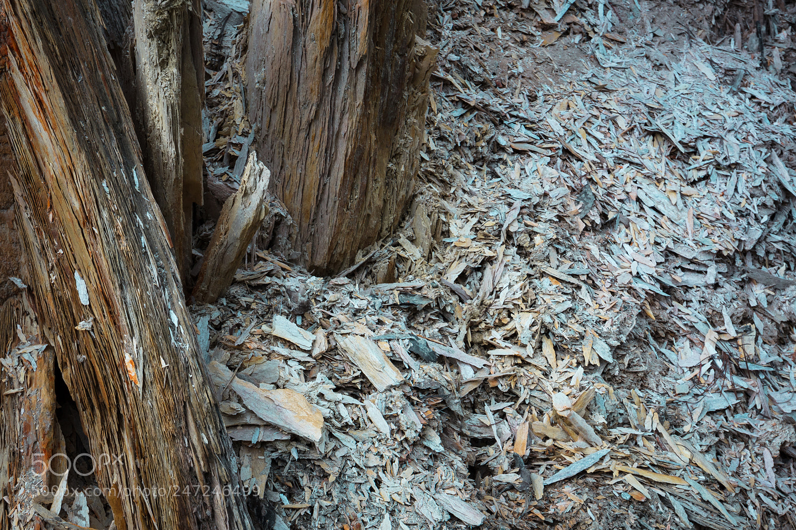 Canon EOS 5DS sample photo. Bones of this earth photography