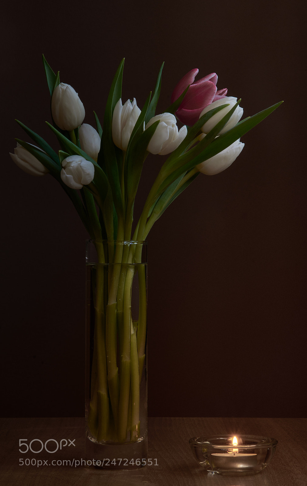 Nikon D7200 sample photo. Tulips photography