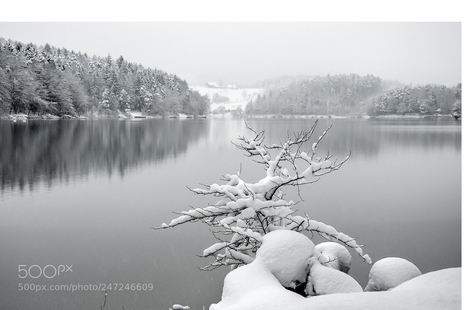Nikon D5100 sample photo. Lonely photography