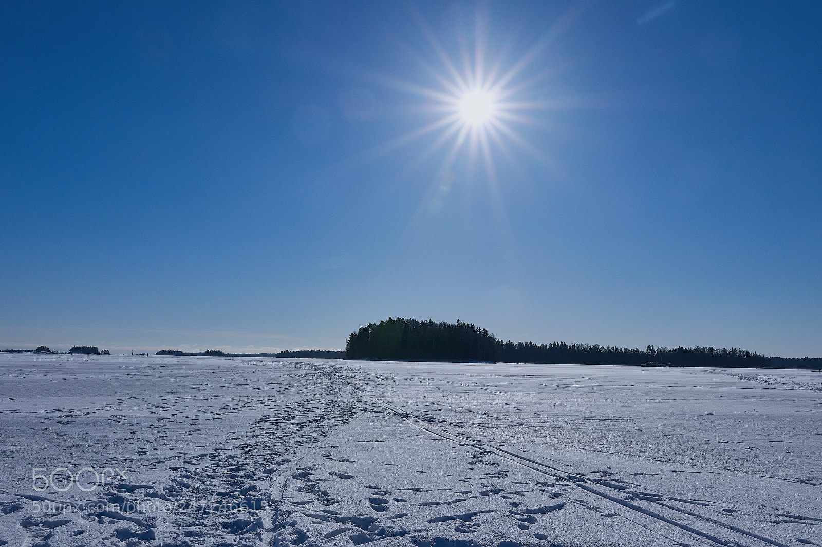 Canon EOS 80D sample photo. Winter day photography