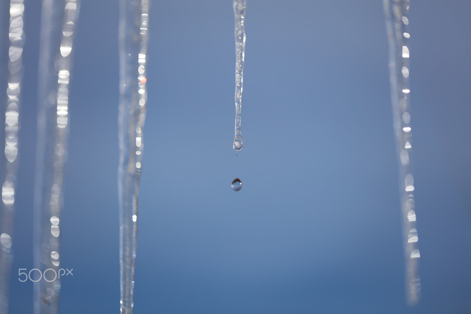 Canon EOS 5DS R + Canon EF 100mm F2.8L Macro IS USM sample photo. I see the spring in sight! the winter melts away! photography