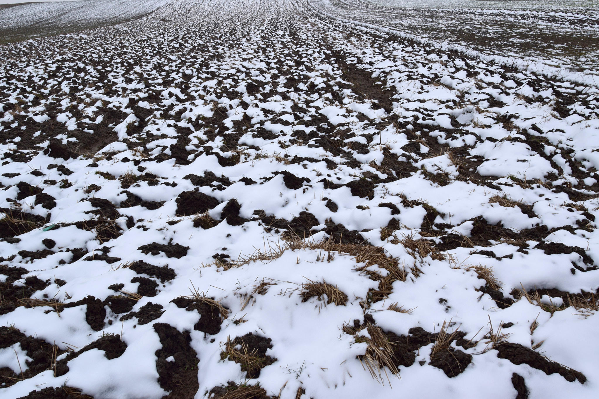 Nikon D3300 + Nikon AF-S Nikkor 20mm F1.8G ED sample photo. Winterscape photography