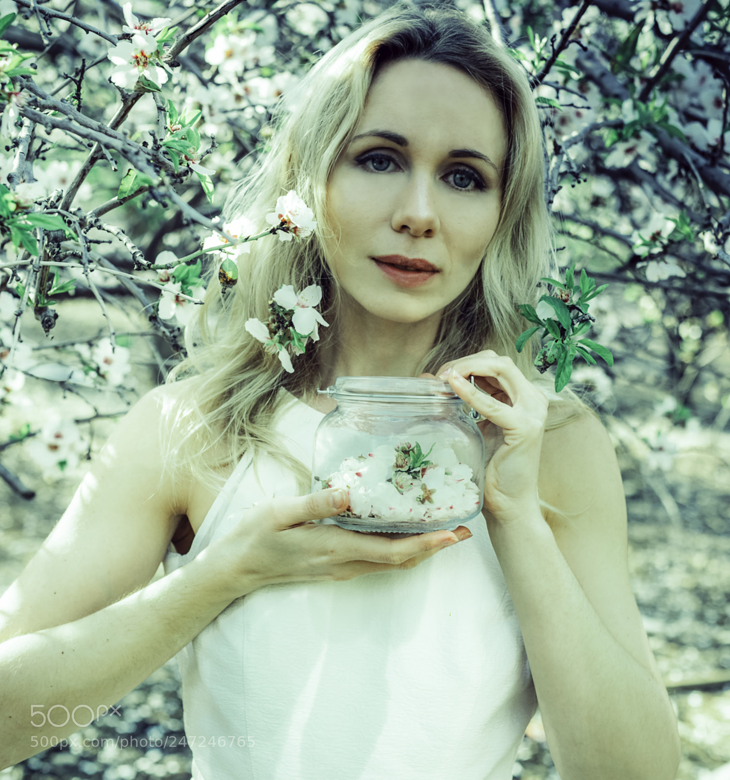 Nikon D610 sample photo. Spring photography