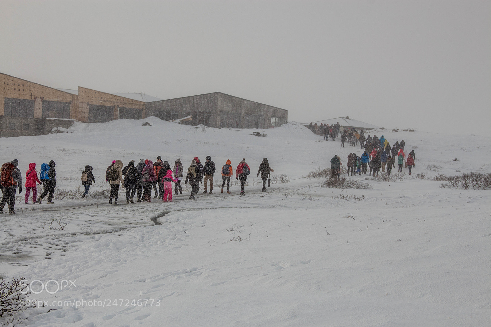 Canon EOS 700D (EOS Rebel T5i / EOS Kiss X7i) sample photo. Tourists in iceland photography