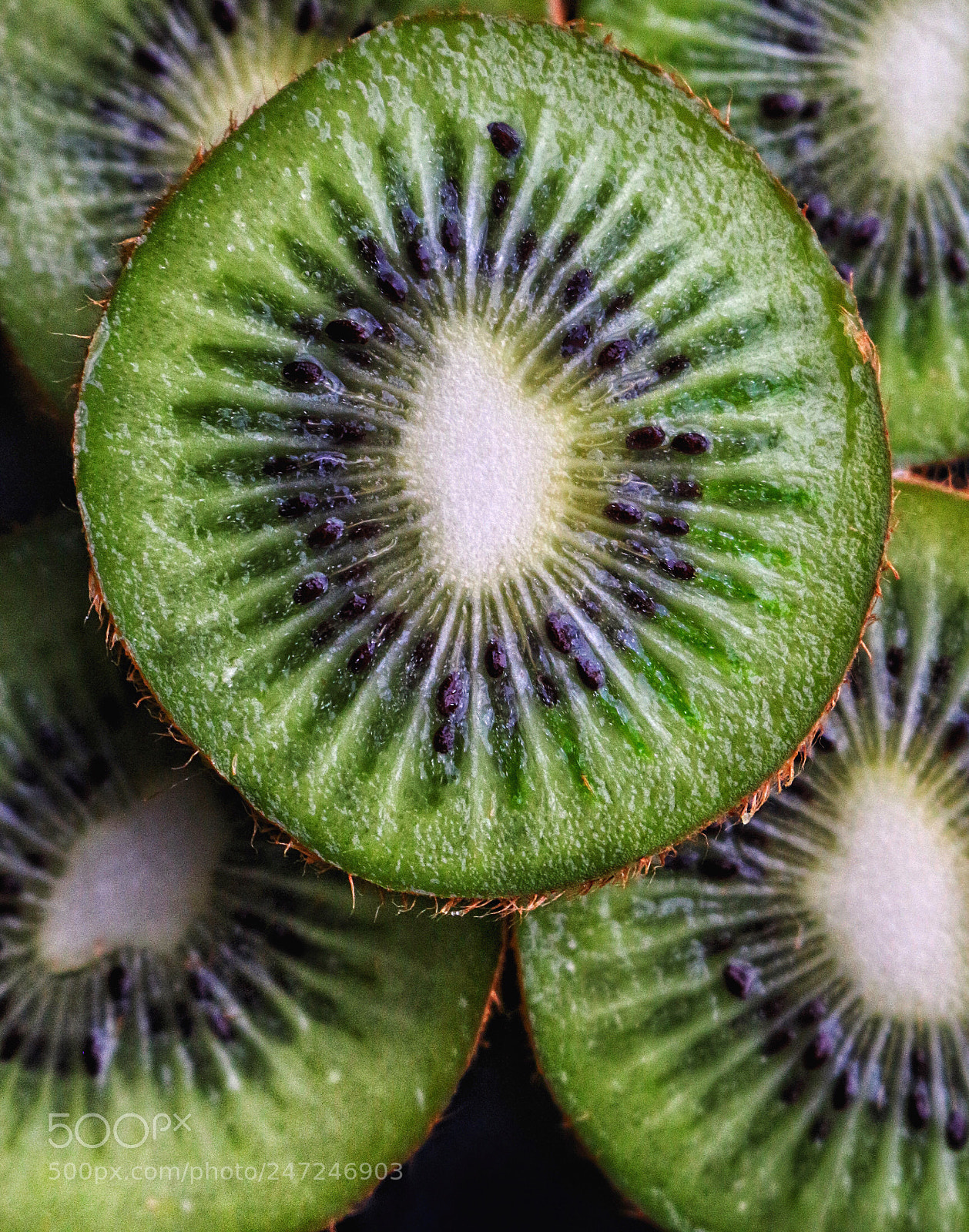 Canon EOS 700D (EOS Rebel T5i / EOS Kiss X7i) sample photo. Kiwi  photography