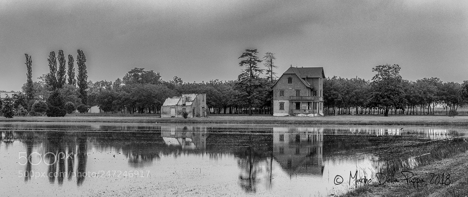 Canon EOS 80D sample photo. Forgotten scenes - abandoned photography