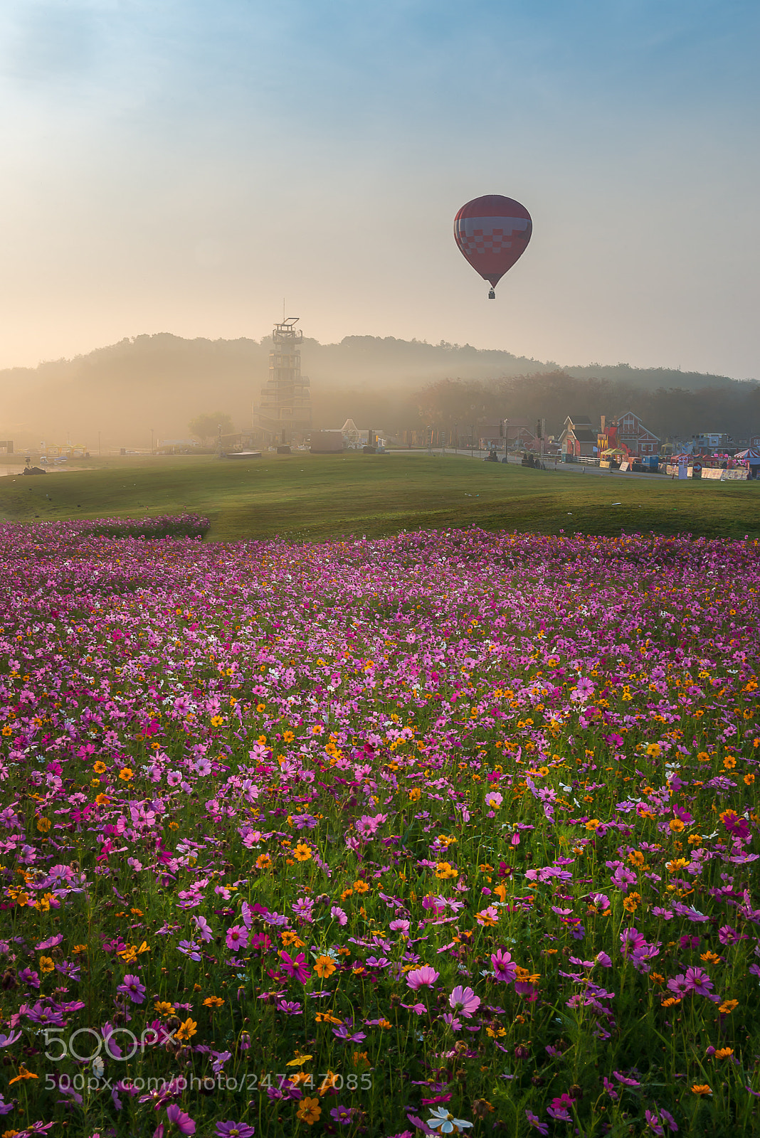 Nikon D800E sample photo. Colorful hot air balloons photography