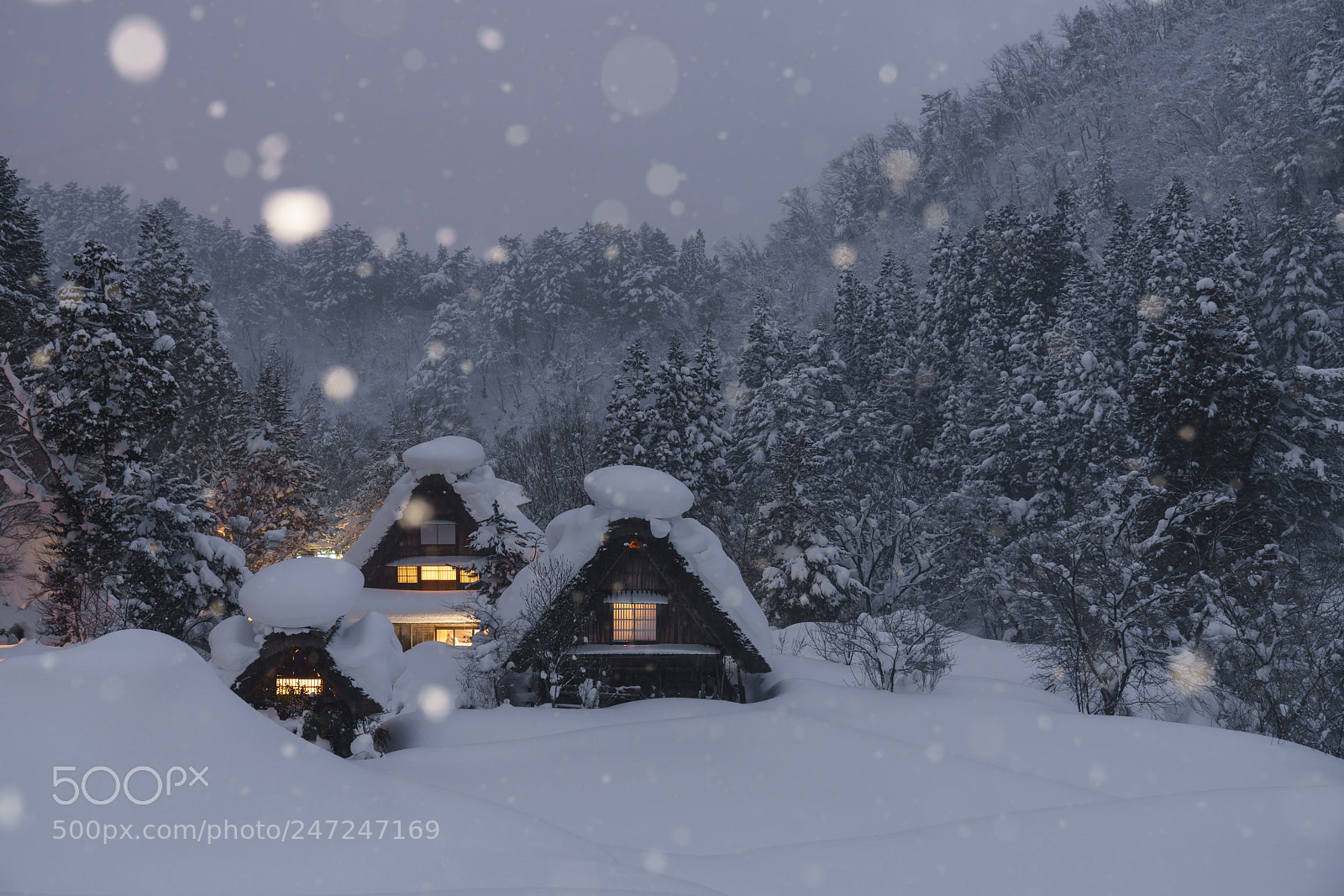 Sony a7R III sample photo. Silent night photography