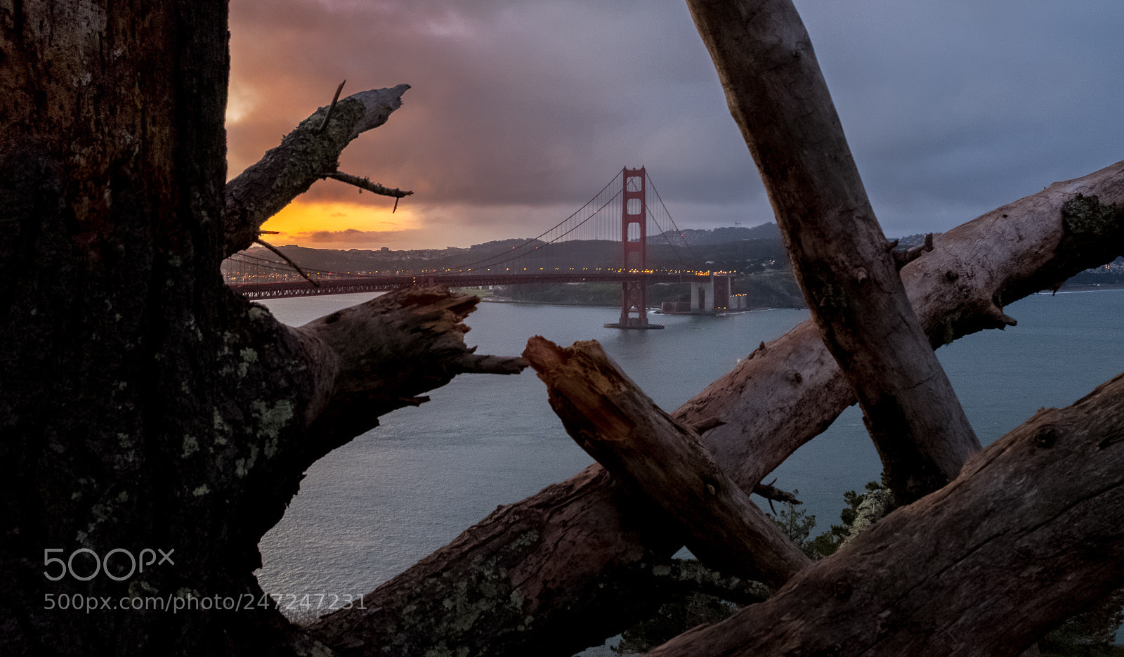 Fujifilm X100F sample photo. Golden gate photography