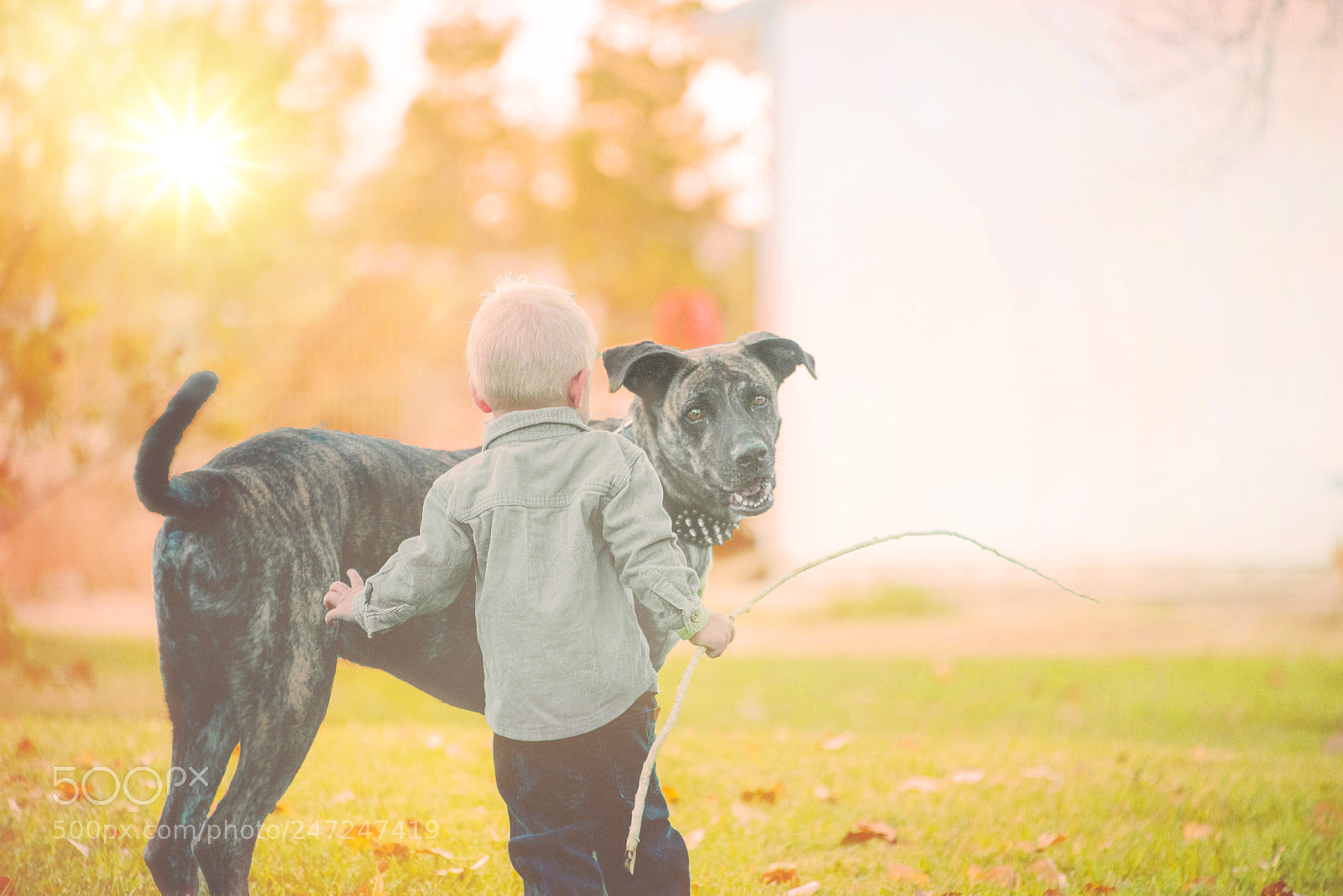 Nikon D810 sample photo. Brother's from another mother photography