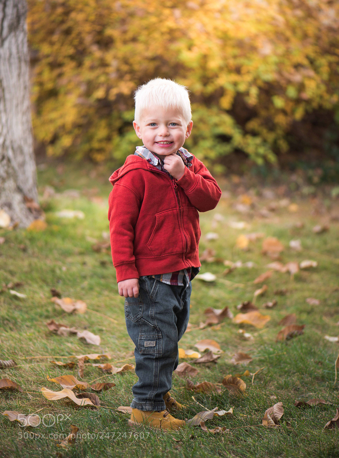 Nikon D810 sample photo. Cheeser photography