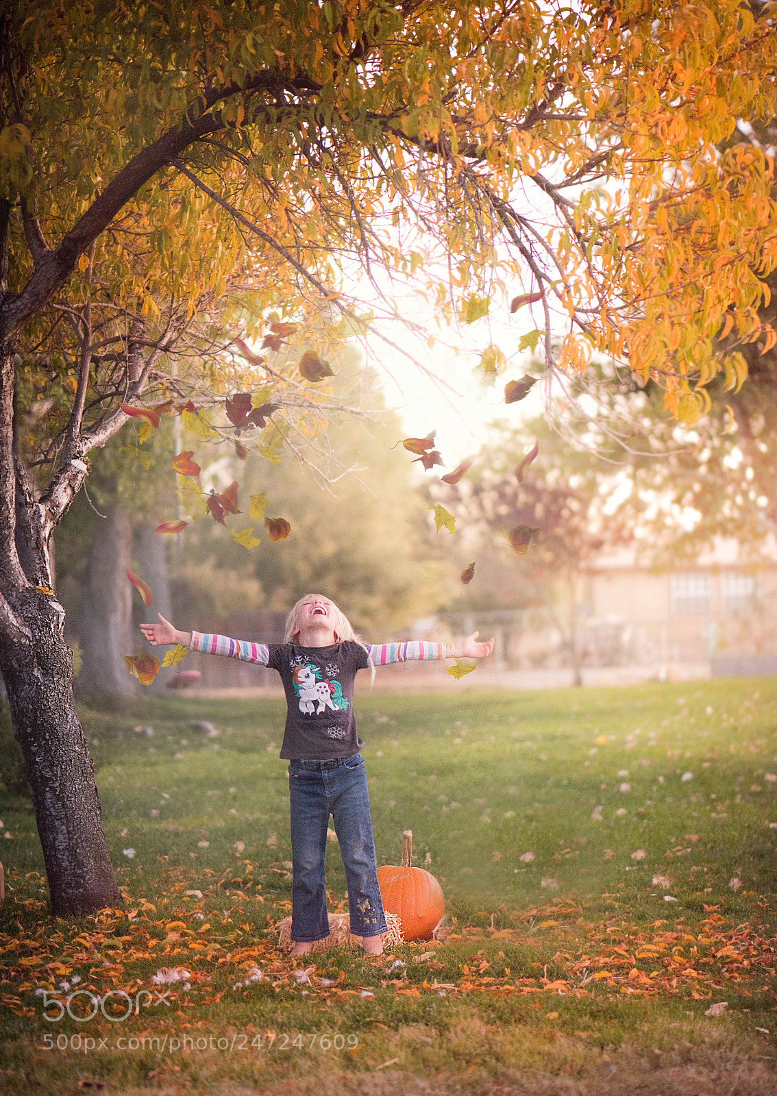 Nikon D810 sample photo. Autumn joy photography