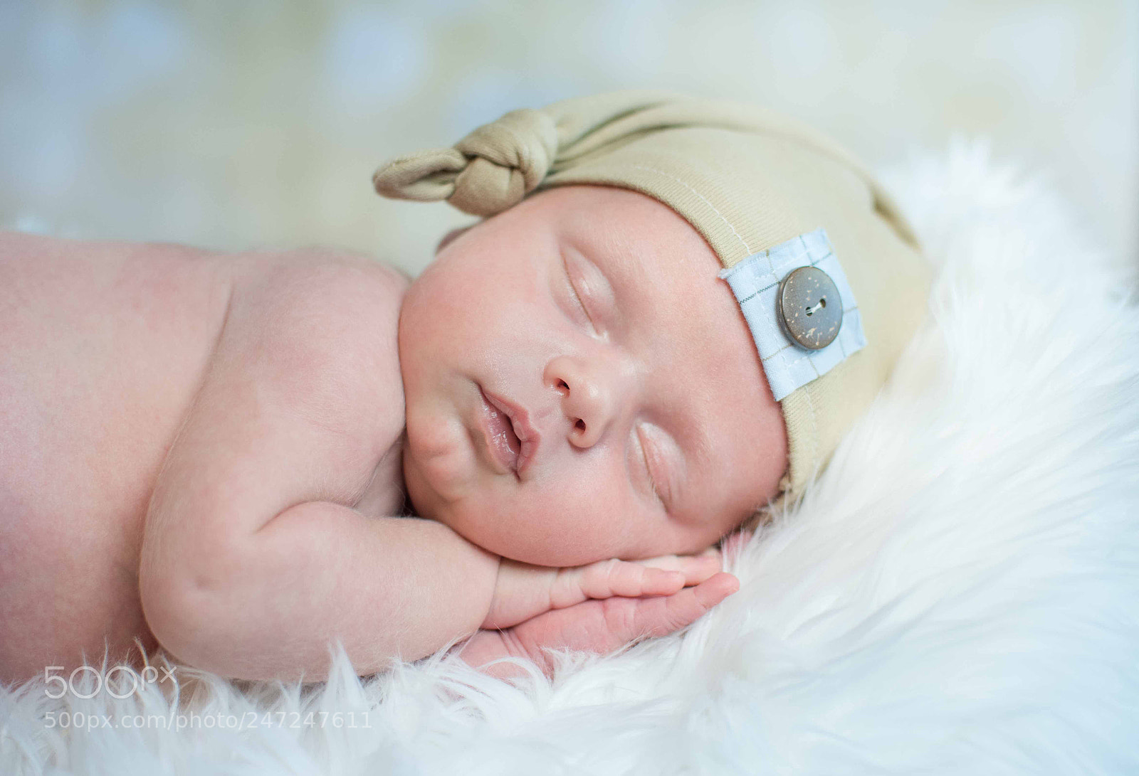 Nikon D810 sample photo. Fat love photography