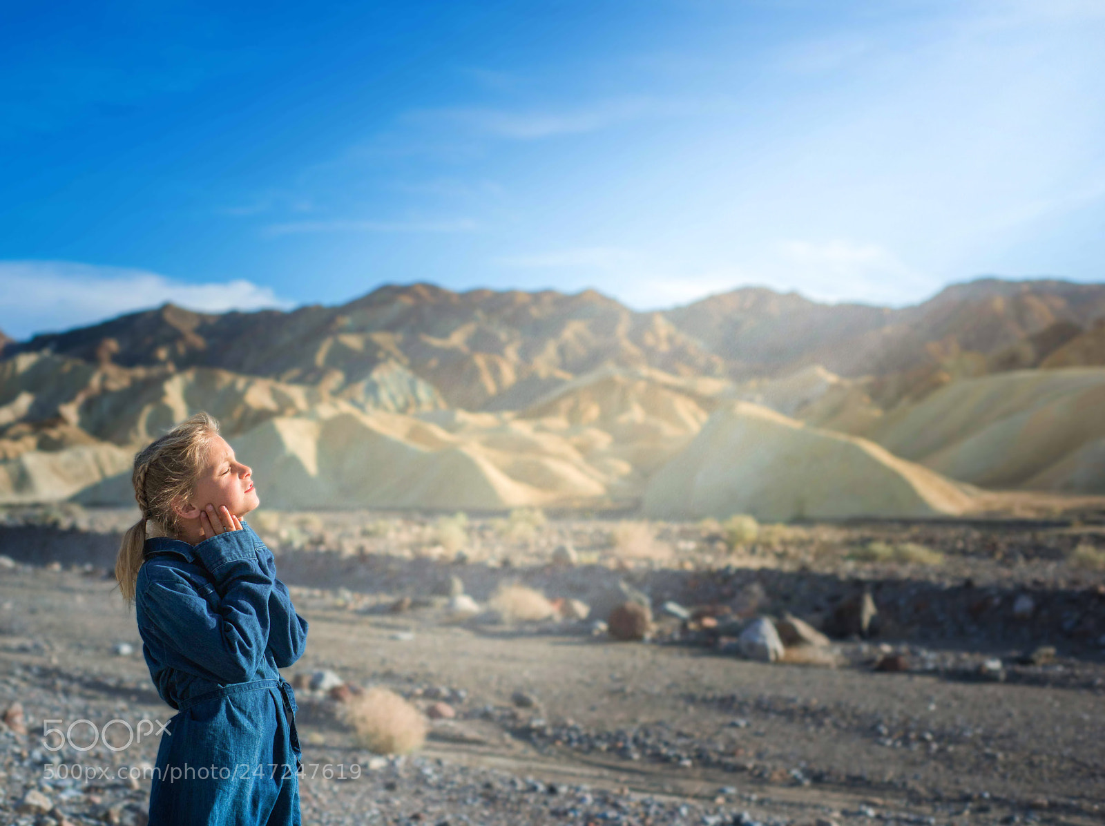 Nikon D810 sample photo. Peace in the desert photography