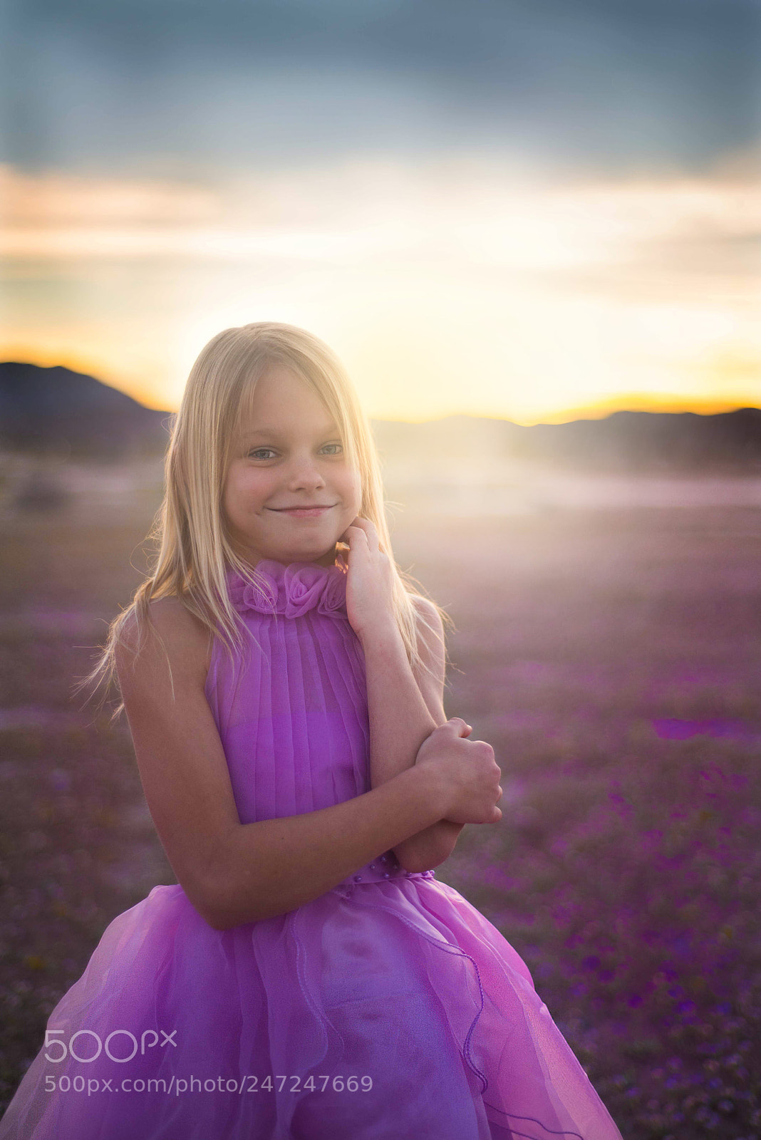 Nikon D810 sample photo. Purple photography
